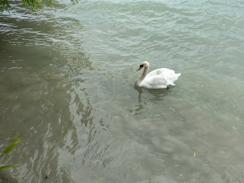 Marcel Proust – Swann’s Way and&nbsp;Exclusivity