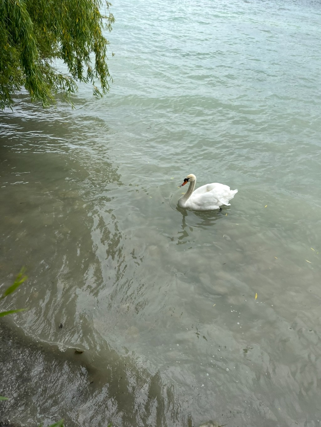 Marcel Proust – Swann’s Way and&nbsp;Exclusivity